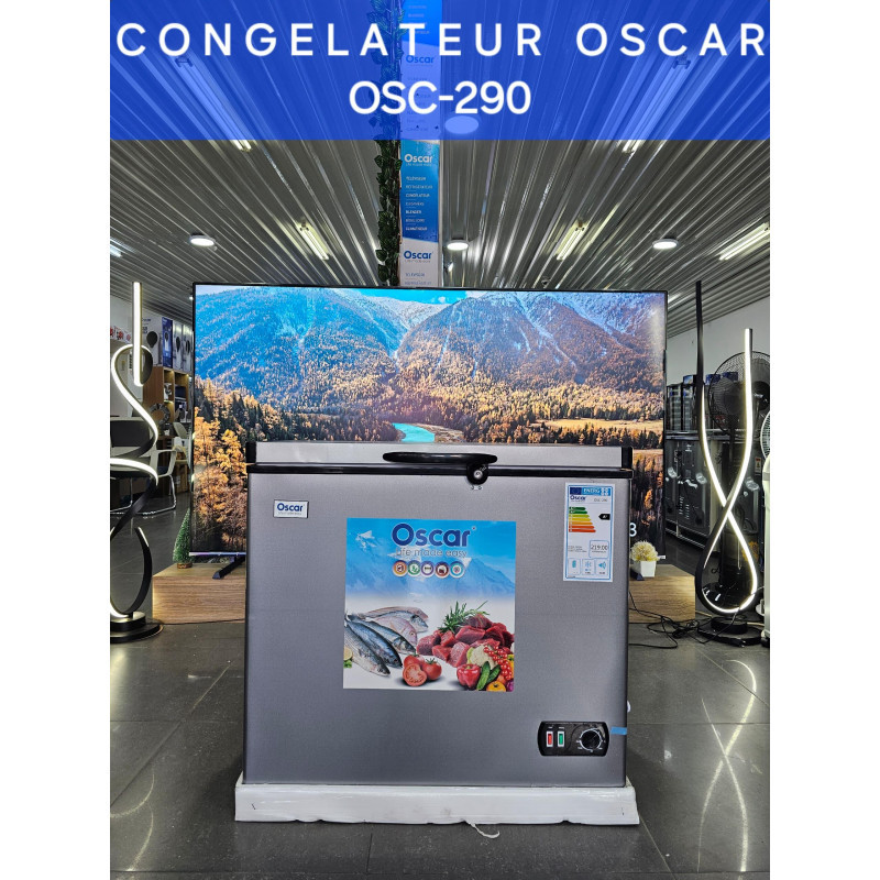 CONGELATEUR OSC-290 198L